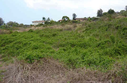 4th image of 73-1185 Akaula St Lot 21