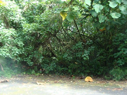 2nd image of Ohiki St Lot 1