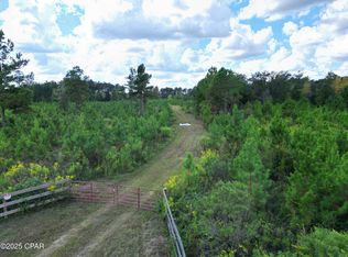 0 River Rd, Sneads, FL 32460