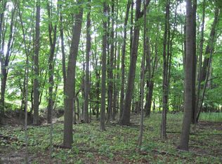 881 N Custer Rd, Custer, MI 49405