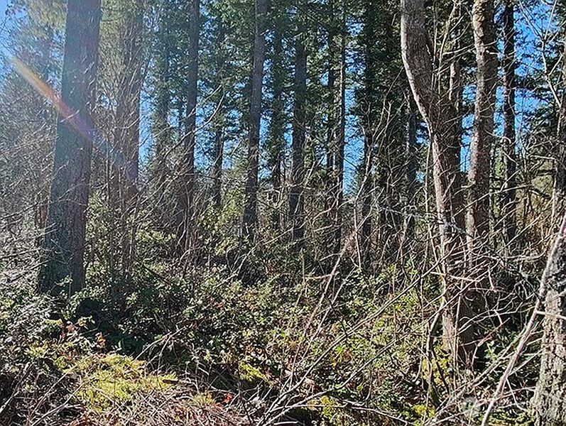 2nd image of 355 xx 312th ST Way SE