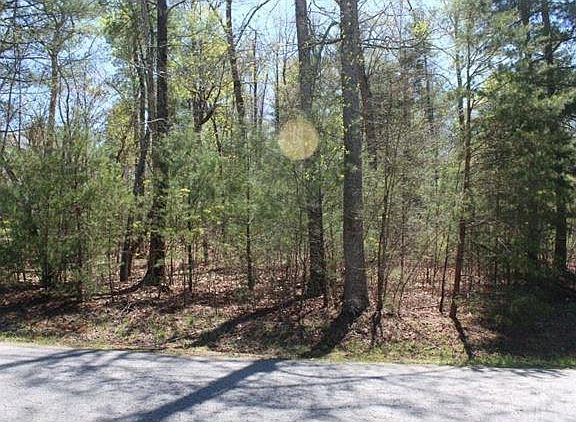 5th image of Wilderness Ln