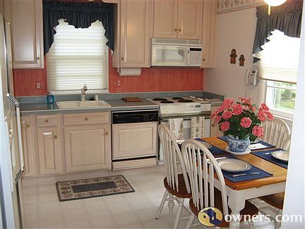 View of All Wood Cabinets in Kitchen