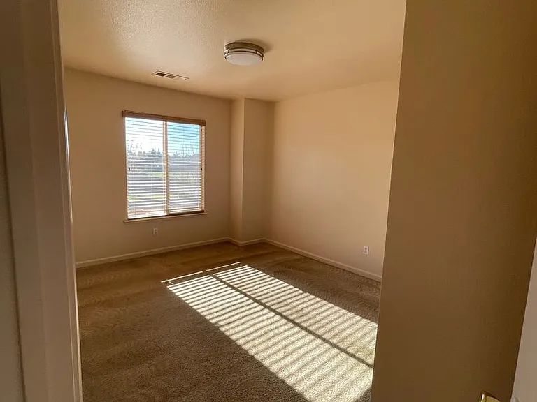 4143 Canopy Ct — Photo 14