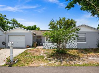 10116 Enchanted Oaks Ct, Tampa, FL 33615
