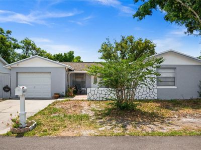 10116 Enchanted Oaks Ct, Tampa, FL, 33615