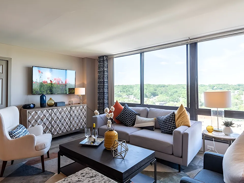 Living Room Window