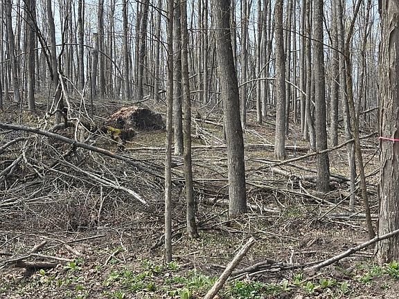 3rd image of PARCEL 5 Birch Run Dr
