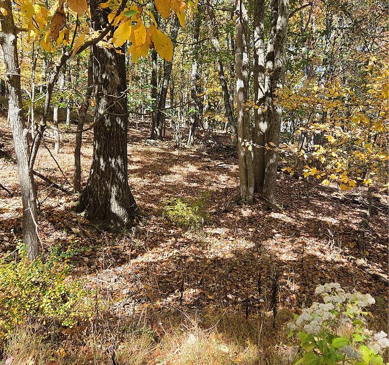 1st image of Seneca Rd #11