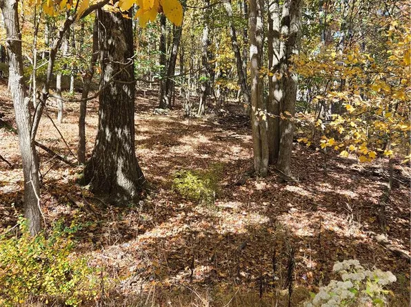 Seneca Rd #11, Mount Pocono, PA 18344