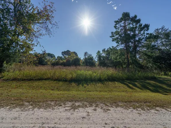 43 Blackbear Dr, Edisto Island, SC 29438