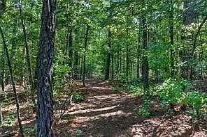 5th image of 709 Birdie Rd #Cd
