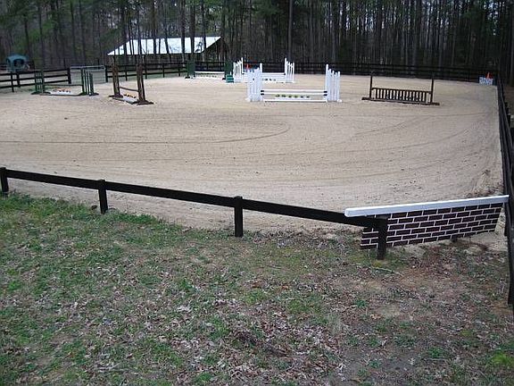 Pro Riding Ring