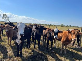 48847 Bermont Rd, Punta Gorda, FL 33982