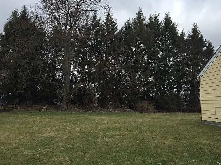 1175 Mount Vernon Rd — Photo 21