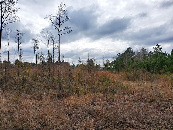 2nd image of 264 Dogwood Trl