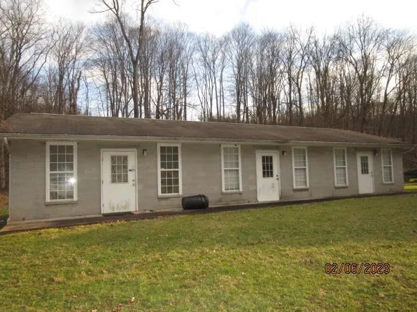 3913 Sellers Run Rd, Middlebourne, WV 26149