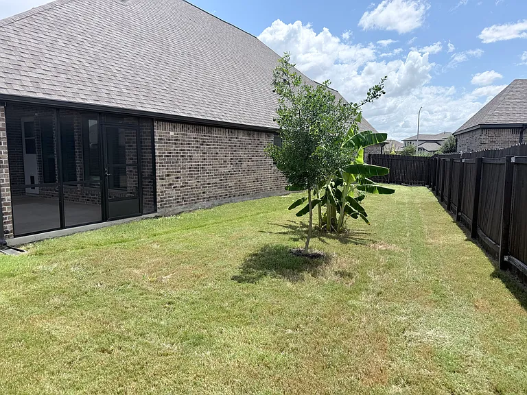 Side yard