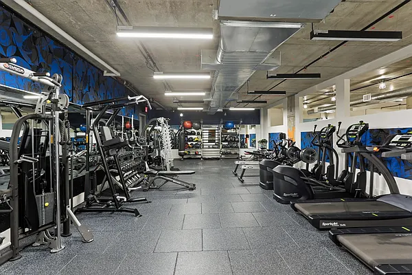 Rented by Pear NYC LLC | media 45