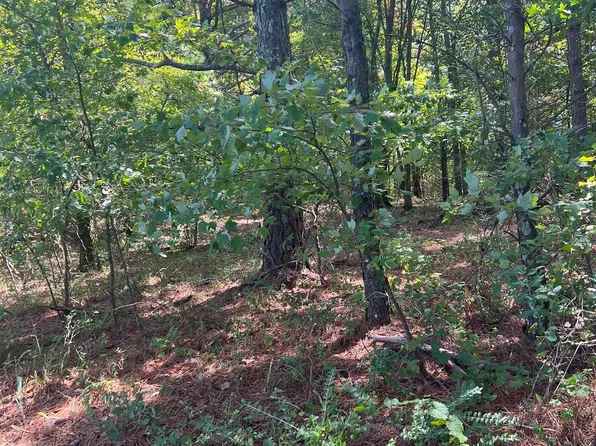 County Road 24 #0, Springville, AL 35146