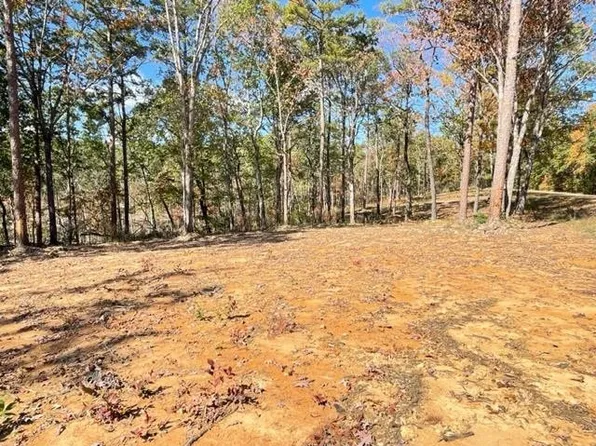 0 Holmes Rd #225, Henderson, TN 38340