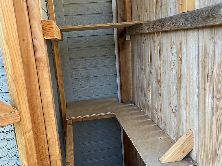 Catio