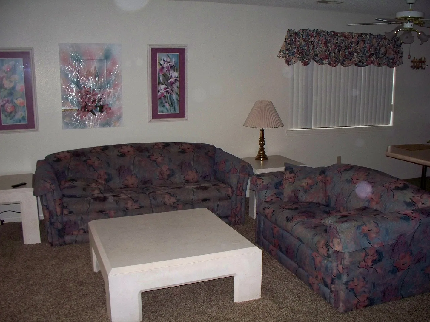 Spacious 2 Bedroom Apartment at in Branson, MO at the Foothills Walk In Unit — Photo 3