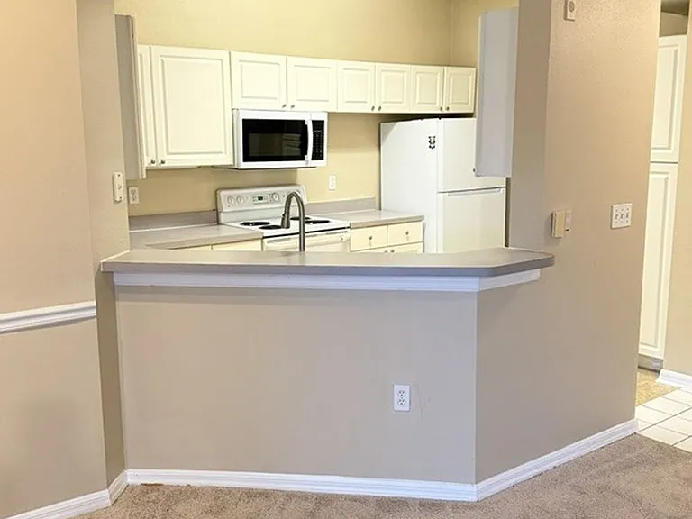 5536 Metrowest Blvd #8201 — Photo 6