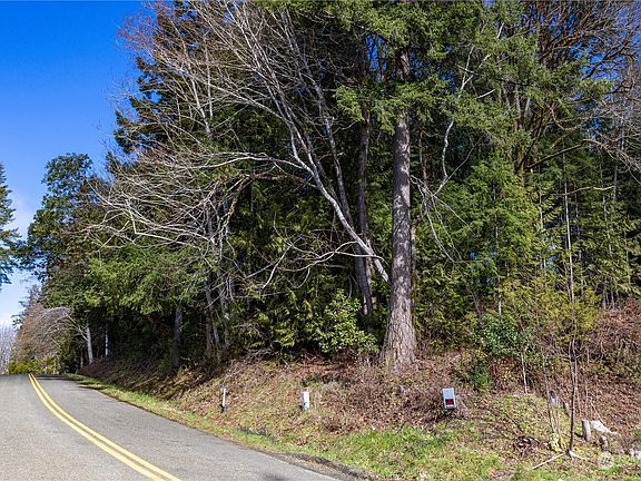 3rd image of 0 Bridger Lane #35