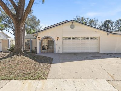 4024 Dellbrook Dr, Tampa, FL, 33624