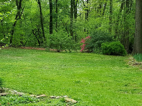 yard