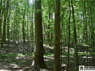 0 Bayview Rd, Bemus Pt, NY 14712