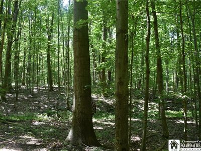 0 Bayview Rd, Bemus Pt, NY, 14712