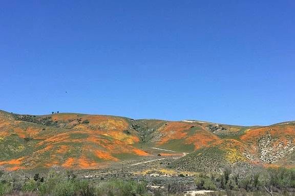 3rd image of Valle View Ln