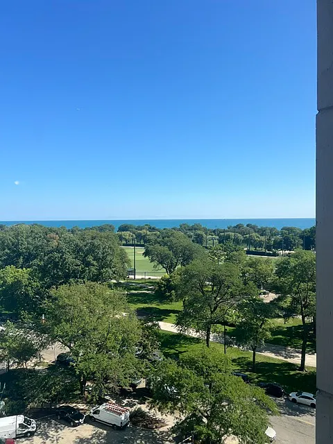1 bed, 900 sqft, $3,000 — Photo 2