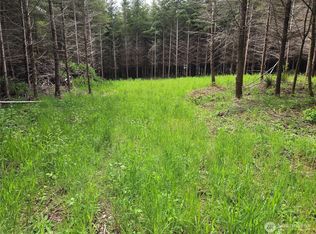 7 Beaver Hill Lane, Montesano, WA 98563