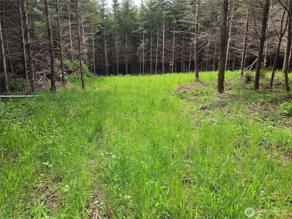 7 Beaver Hill Lane, Montesano, WA 98563