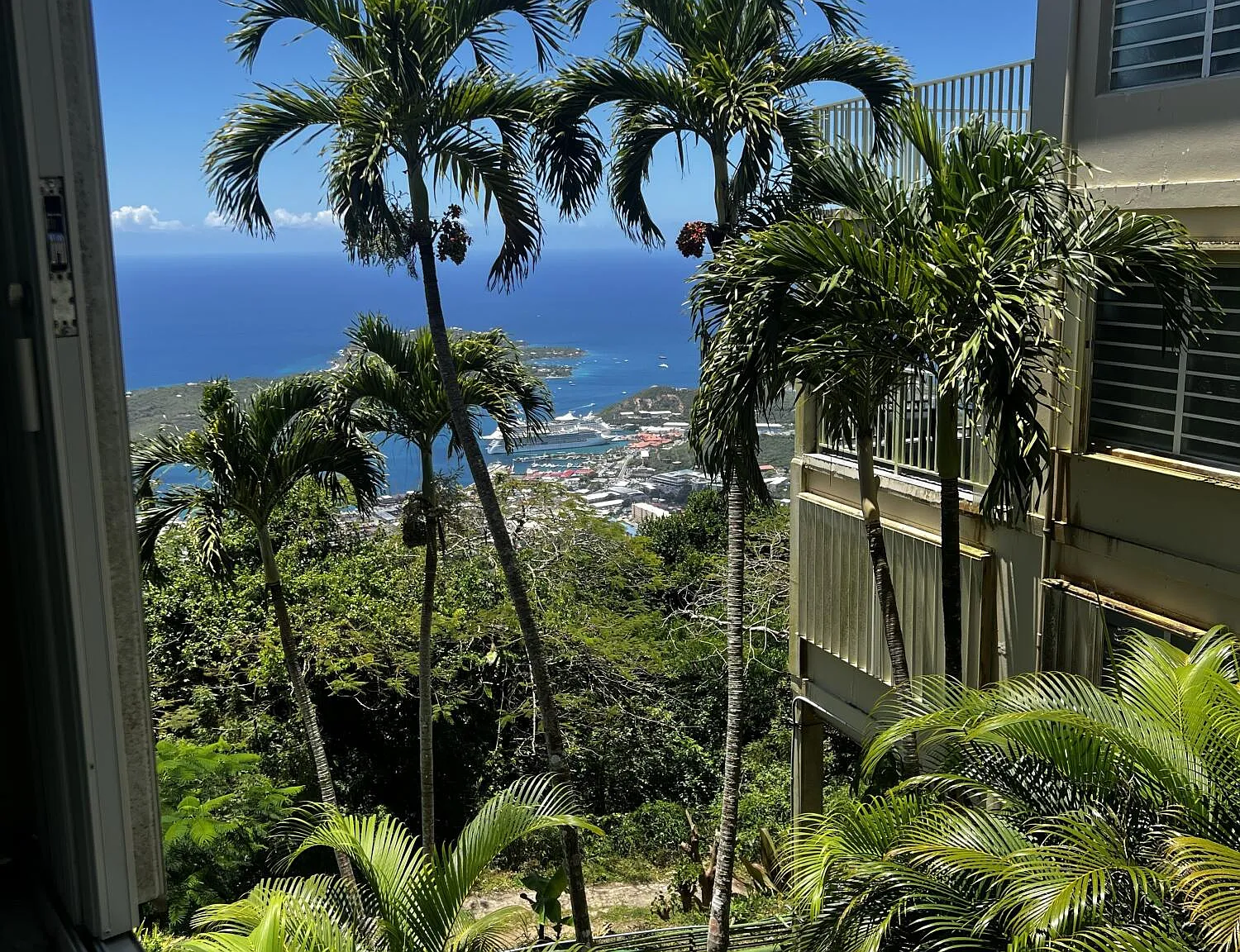 1 bed, $1,500 — Photo 2