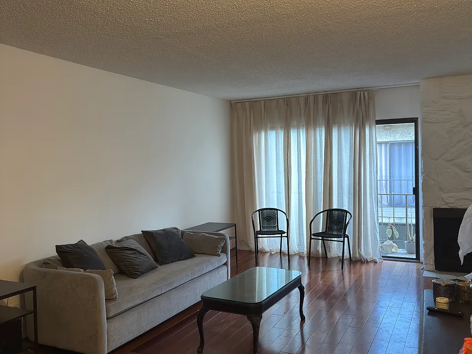 1730 Camino Palmero St #529