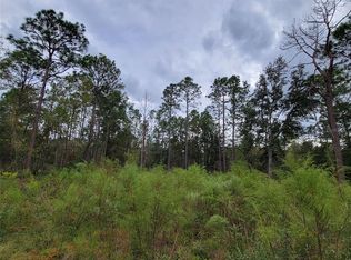 0 NE 17th Pl #7, Williston, FL 32696