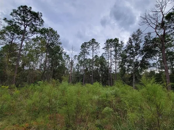 0 NE 17th Pl #7, Williston, FL 32696