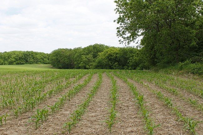 1st image of 0 County Road A