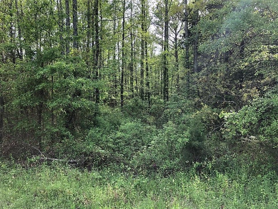 2nd image of 0 Goss Scott Rd