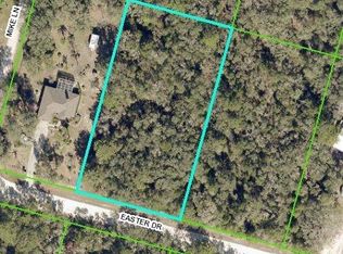 0 Easter Dr, Webster, FL 33597