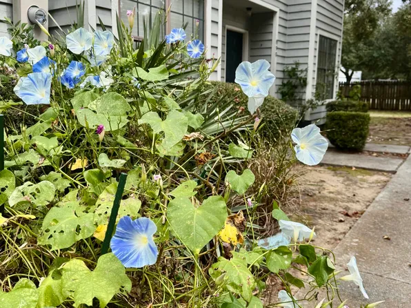 890 Sea Gull Dr, Mount Pleasant, SC 29464