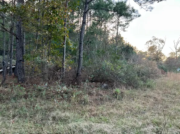 0 Smoak Rd, Walterboro, SC 29488