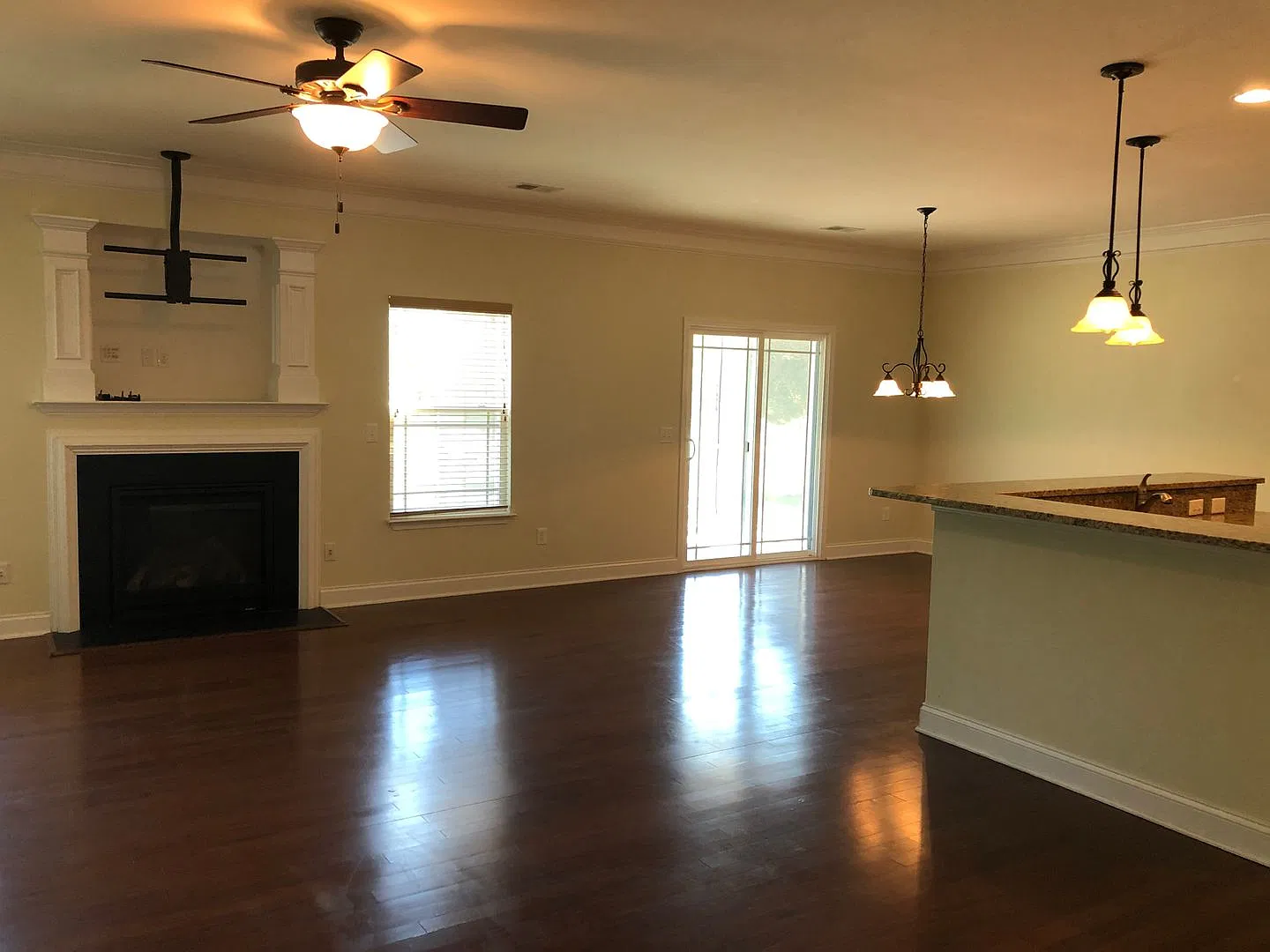 Charming 3-Bedroom Home in Griffin Park with Screened-In Porch — Photo 4