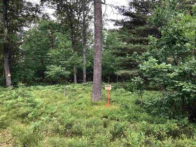 Par D Arnes, Roscommon, MI, 48653