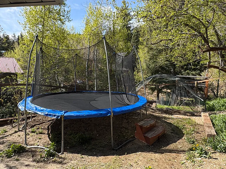 Woodland Dr — Photo 9