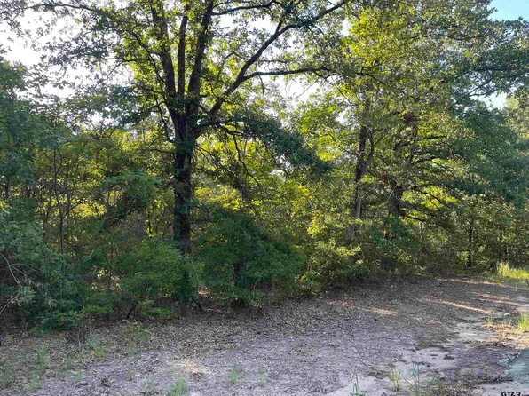 47 County Road 4298, Scroggins, TX 75480